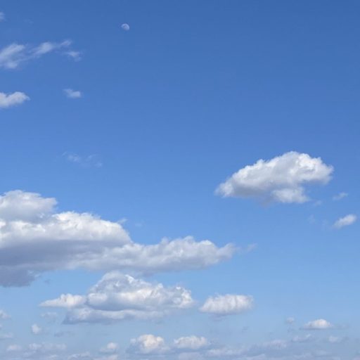 ラサーナ⭐️海藻エキスが髪の毛に与える影響は何なの？😕 海藻ヘアエッセンス｜海藻海泥ヘアマスク｜海藻シルキーヘアスプレー｜海藻オールインワンゲル｜フコイダン｜ポリフェノール｜カロテノイド｜LaSana｜